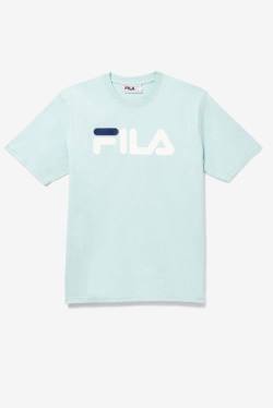 Camiseta Fila Eagle Tee Hombre Azules | Fila248EF