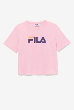 Camiseta Fila Miss Eagle Tee Mujer Rosas Moradas Naranjas | Fila761KZ