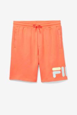 Pantalones Cortos Fila Zeshawn Hombre Naranjas | Fila548OJ