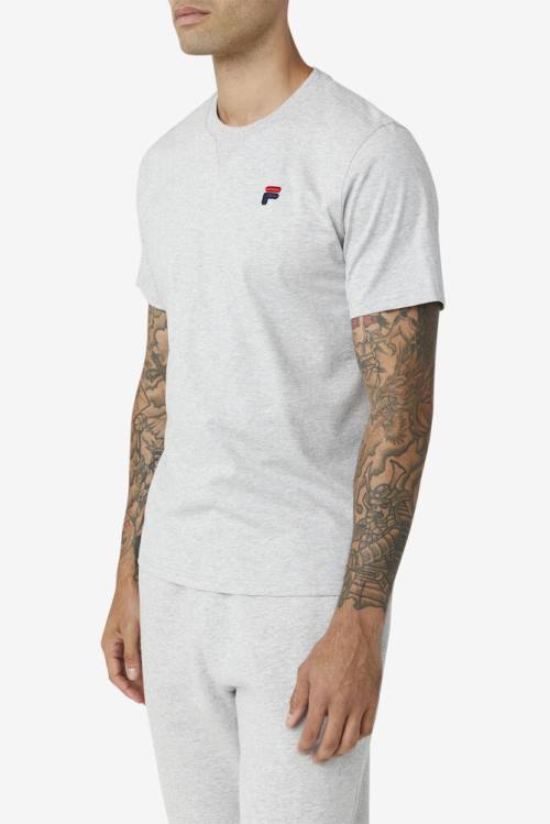 Camiseta Fila Derion Tee Hombre Gris Claro | Fila401RM