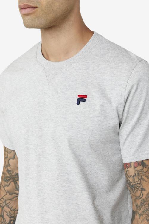 Camiseta Fila Derion Tee Hombre Gris Claro | Fila401RM