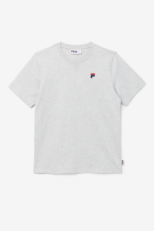 Camiseta Fila Derion Tee Hombre Gris Claro | Fila401RM