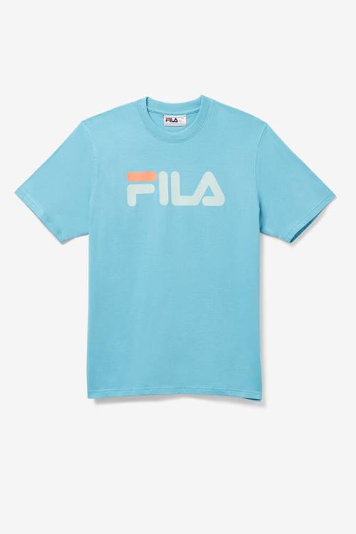 Camiseta Fila Eagle Tee Hombre Azules | Fila027GB