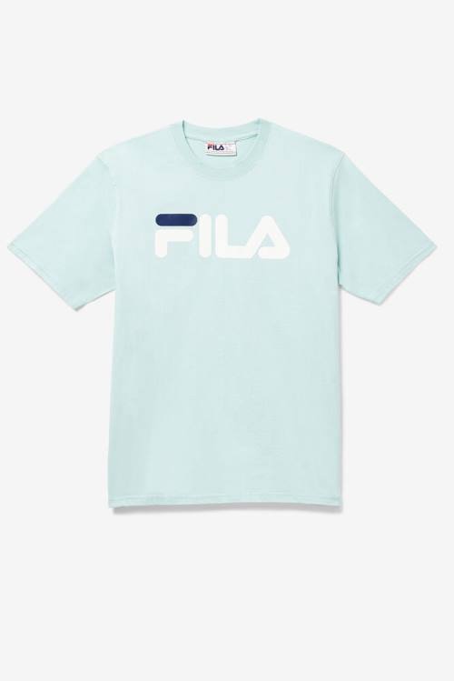 Camiseta Fila Eagle Tee Hombre Azules | Fila248EF