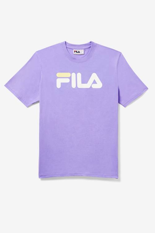 Camiseta Fila Eagle Tee Hombre Moradas | Fila538EG