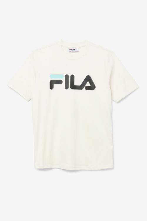 Camiseta Fila Eagle Tee Hombre Negras Azules Turquesa | Fila391DB