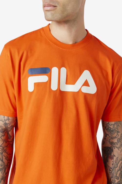 Camiseta Fila Eagle Tee Hombre Rosas Gris Azul Marino | Fila426HU