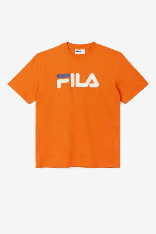 Camiseta Fila Eagle Tee Hombre Rosas Gris Azul Marino | Fila426HU