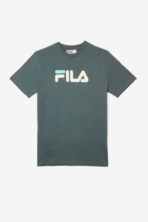 Camiseta Fila Eagle Tee Mujer Azules | Fila263XM