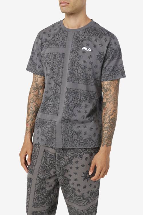 Camiseta Fila Kensico Tee Hombre Gris | Fila798EQ