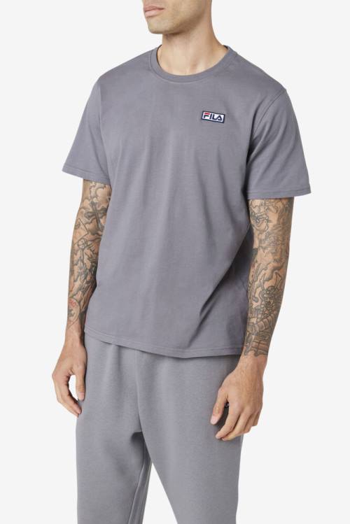 Camiseta Fila Skylar Tee Hombre Gris | Fila580CF