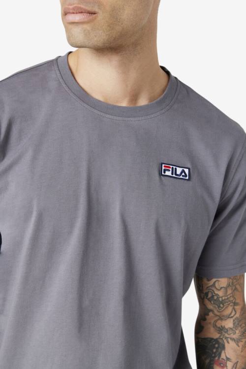 Camiseta Fila Skylar Tee Hombre Gris | Fila580CF