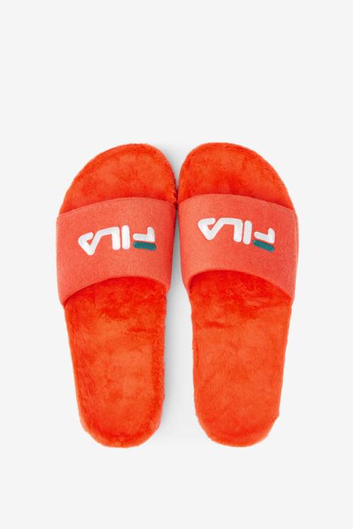 Sandalias de Diapositivas Fila Terry Drifter Hombre Rosas Blancas | Fila246KX