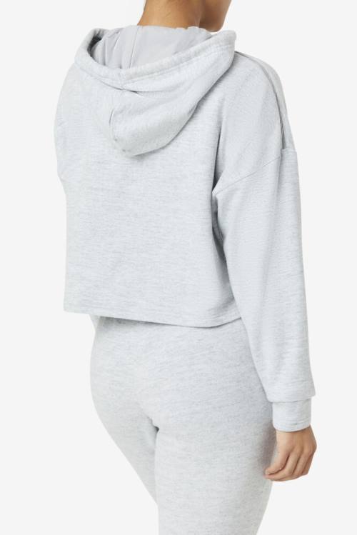 Sudadera Con Capucha Fila Fi-lux Cropped Mujer Gris | Fila489BF