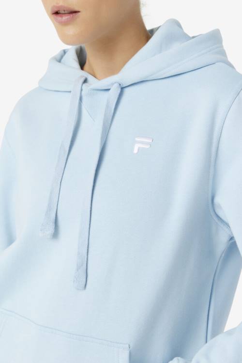 Sudadera Con Capucha Fila Godfrey Hombre Azules Claro | Fila792GW