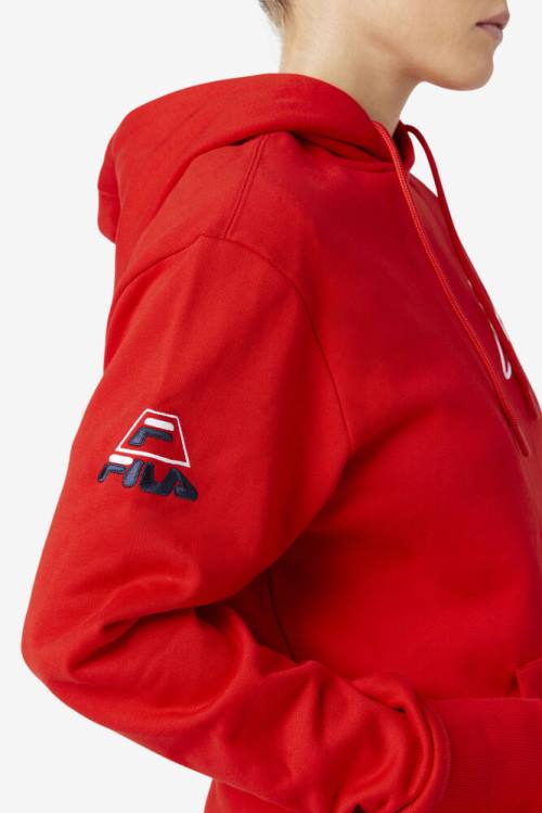 Sudadera Con Capucha Fila Grant Hill Lazarus Hombre Rojas | Fila705BU