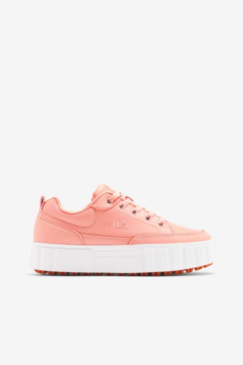 Zapatillas Fila Sandblast Low Mujer Albaricoque Rosas Blancas | Fila986WJ